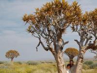Hochzeiten in ganz Namibia...