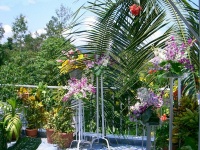 Hotelbar-Terrasse