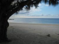 Tropical Beach, Nähe Montego Bay