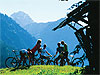 MTB - Transalp Comer See