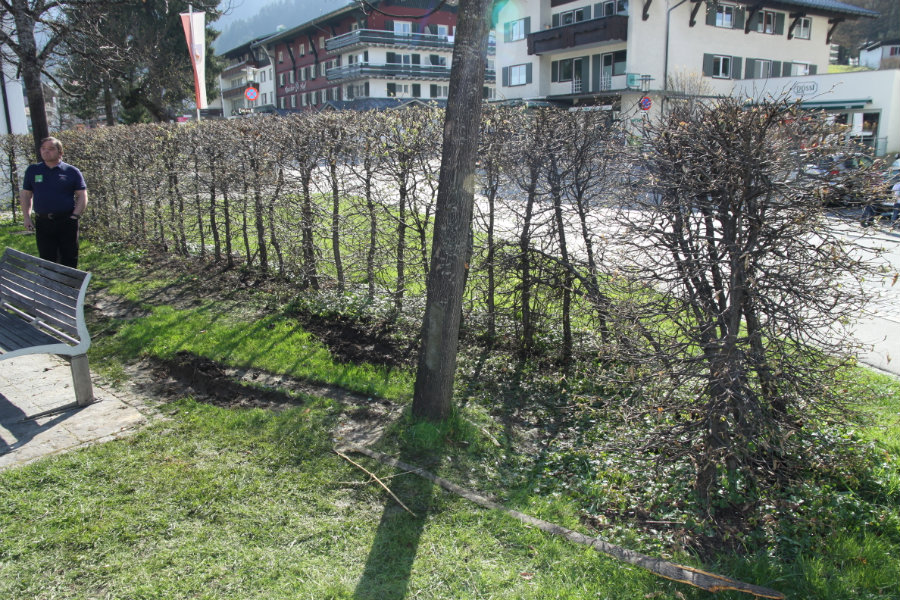 Einsatzbild