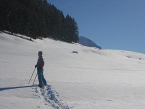 eigene Bilder