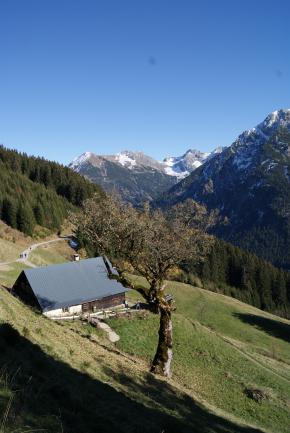 Sommerfrische