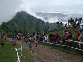 Zieleinlauf