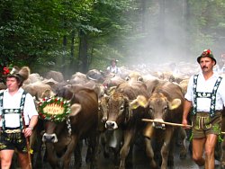 Die 5. Jahreszeit im Allg&auml;u!