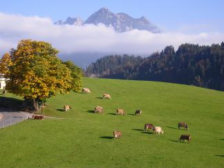 Blick vom Balkon