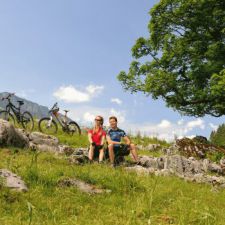Des Biker´s Glück am Wegesrand.