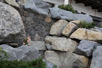  Ifen Hotel Kleinwalsertal