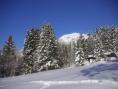 Spuren im Schnee
