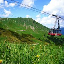 Deutsch-Österreichischer Blumenberg: Fellhorn / Kanzelwand