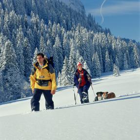 Schneeschuhwanderung