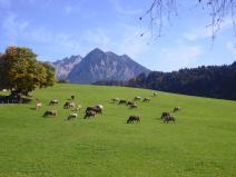 Blick aus der Küche Fewo. Nr.7