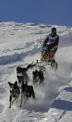 Schlittenhunderennen