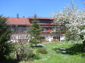 Garten im Fr&uuml;hling