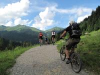 www.kleinwalsertal.com