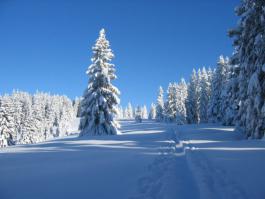 Lastminute Winterspaß 5 oder 7 Tage