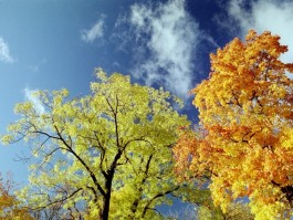 Bunt geschmücktes Allgäu - Oktober spezial