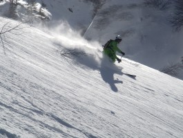 Telemark ! das Leben ist zu kurz für eine feste ?