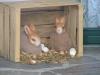 Hoppel-Hasen-Wochen